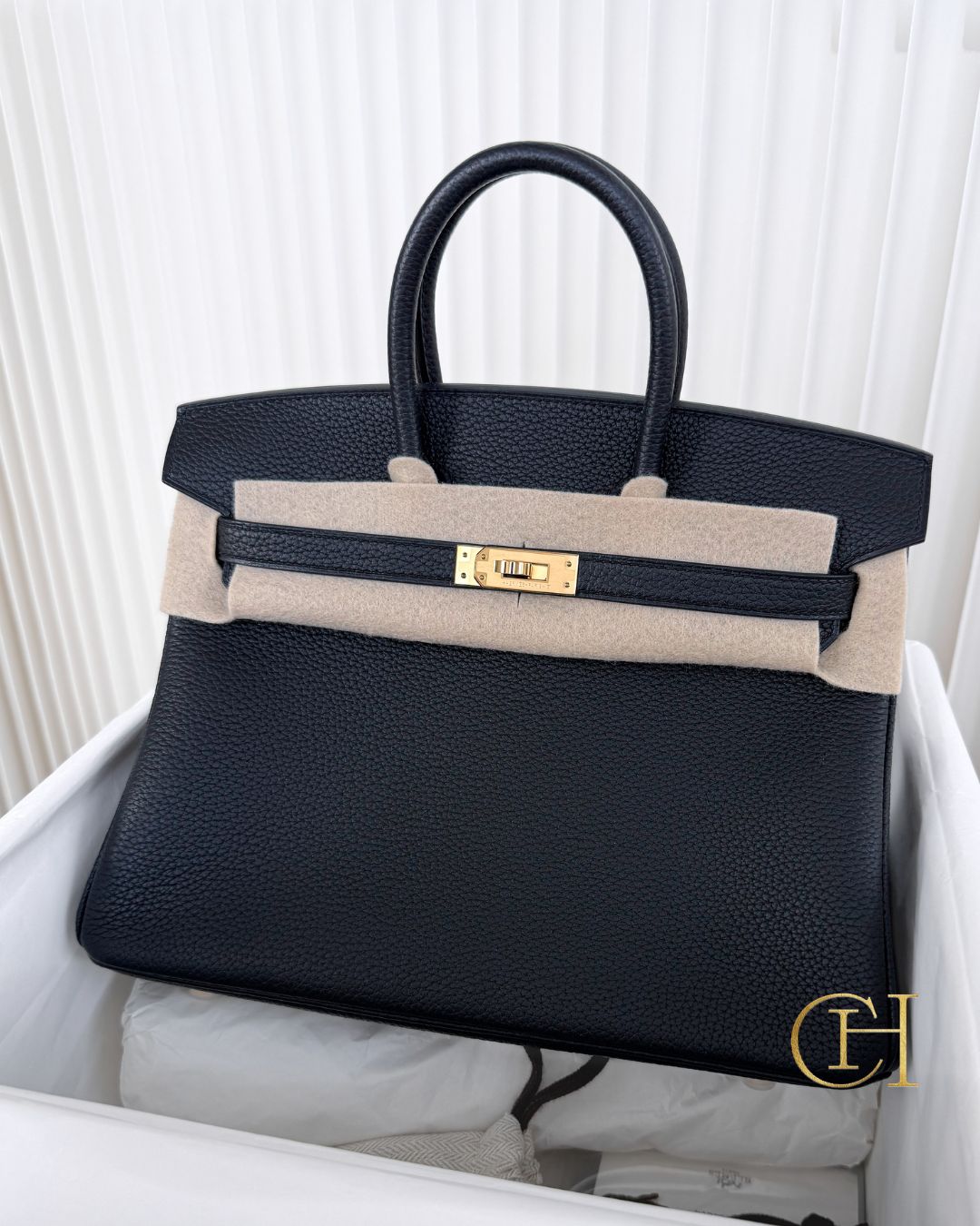 Birkin 25 — замок и клошетта